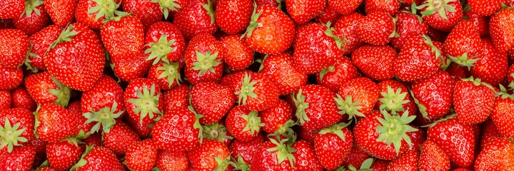 Foto auf Glas Strawberries berries fruits strawberry berry fruit panoramic view background © Markus Mainka