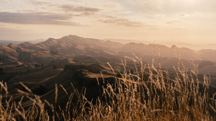 Golden sunset at Te Mata Park. New Zealand - Powered by Adobe