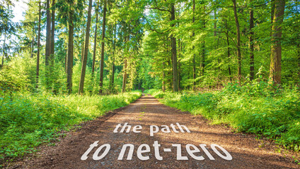 The path to net-zero