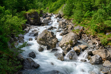 Naklejka na ściany i meble wild flowing Sandbach creek in Sandwald, Linthal Glarus