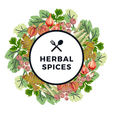 Wreath of herbs and spices Tumeric Indian gooseberry Garlic Citronella Coriander Cadamon on a white