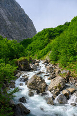 wild flowing Sandbach creek in Sandwald, Linthal Glarus