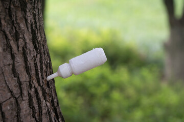 Medicine bottle stuck in the tree