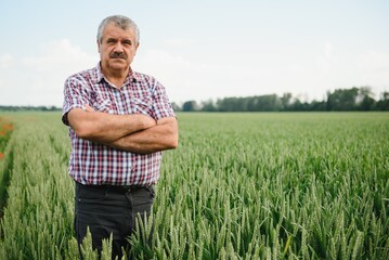 Naklejka na ściany i meble Experienced and confident farmer stands on his field. Portrait of senior farmer agronomist in wheat field.