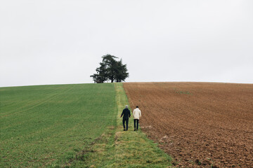 Two people walking in a green field separated by a rocky soil - single tree under sky in background