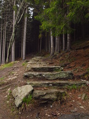 Kamienne schody, górski szlak w Karkonoszach, Polska - obrazy, fototapety, plakaty