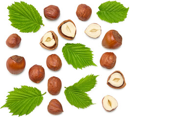 hazelnuts with green leaf isolated on white background macro. clipping path. top view