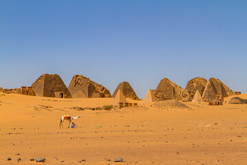 The pyramids of Meroe in the Sahara of Sudan
