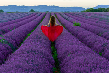 Lavender field in Provence France running in red dress. 