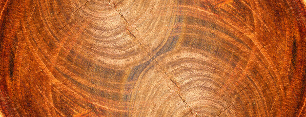 Naklejka premium Vintage dark wood textured