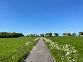 Fototapeta na wymiar Path towards De Hoeve