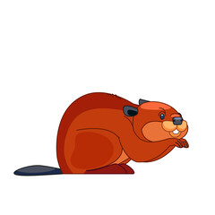 Beaver eating plant. Cartoon vector flat illustration isolated on white background