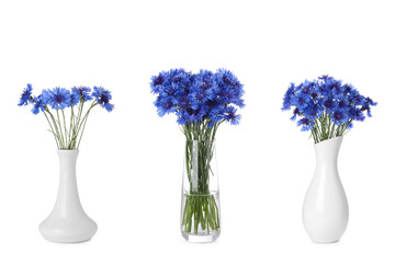 Obraz premium Set with beautiful blue cornflowers in vases on white background