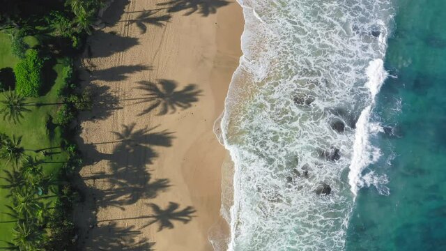 Aerial paradise island, vertical mobile footage, Hawaii island beach shore 4K