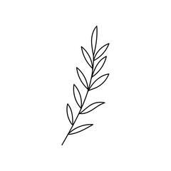 Hand drawn line drawing of a leaf. Vector illustration