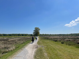 Couple cycling through the Drents-Friese Wold National Park