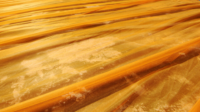  close up of wooden texture for background                                                                                                                                                        