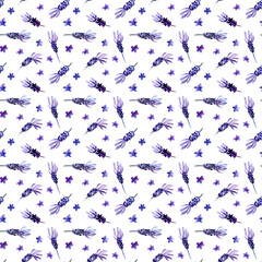 Watercolor Lavender seamless pattern on white background. Hand drawn, botanic deign paper