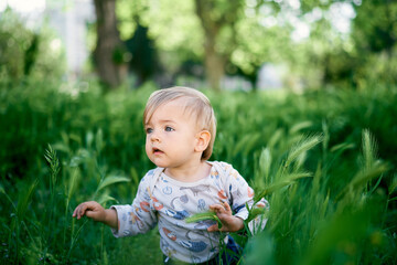 Little kid sits in the tall grass. Portrait