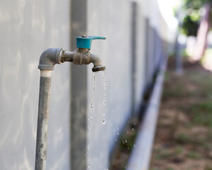 Tap garden water for use in watering plants in the garden.