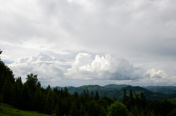 Beautiful green landscape. Path to the top. Cloudy day in the Carpathian Mountains.