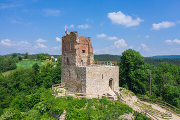 Ruiny zamku w Melsztynie