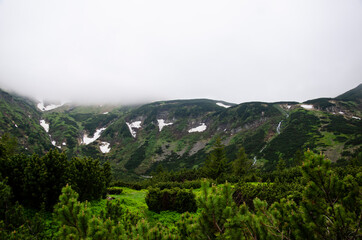 Beautiful green landscape with snow and top of the mountains in the fog.