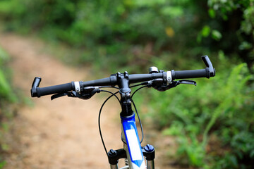 Fototapeta na wymiar Mountain bike on summer forest trail
