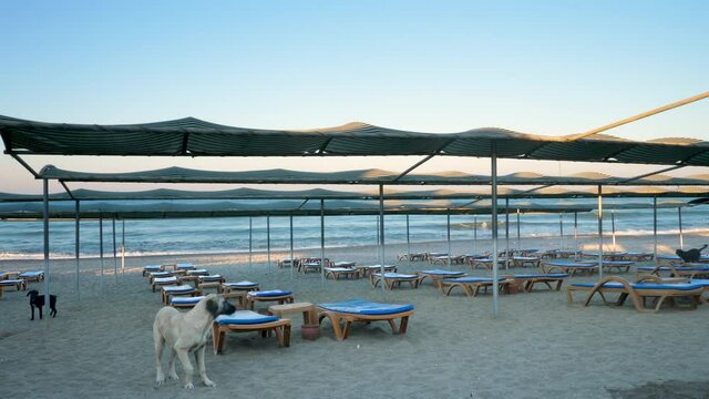 Beach deckchair with wave sea beach background and blue sky. Holiday and vacation. Empty sand beach during lockdown. Coronavirus COVID-19 pandemic. No people and dogs. Travel destinations, quarantine