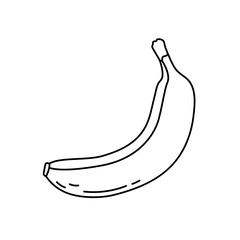 Banana. Fruit sketch. Black line icon. Vector illustration for coloring book