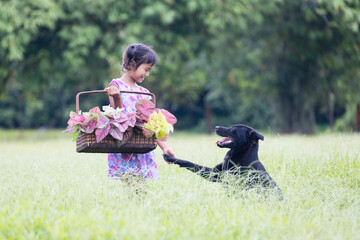 A long-haired Asian girl holding a basket in caladium tree walks with her black dog in the middle of the meadow.