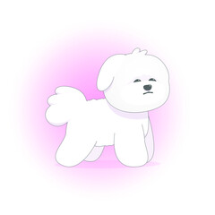 Vector illustration, Cute dog Bichon Frize in a stylized cartoon style. White color with black on a pink background.