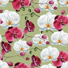 Tropical flowers, orchid flower, jungle leaves, monstera, floral seamless pattern background. Decorative vintage botanical exotic illustration wallpaper, clothes design, wrapping paper  © Юлия Свалова