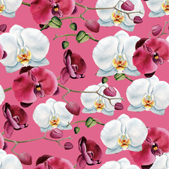 Hand painted watercolor seamless pattern with delicate floral illustration of phalaenopsis orchids on pink background. Ideal design for dresses, summer clothes, wrapping paper, postcards, invitations