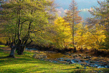 autumnal nature scenery with river. trees in colorful foliage on the grassy shore. beautiful...