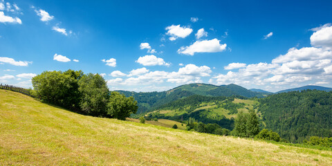 hay field in mountains. wonderful rural landscape. sunny summer day. clouds on the sky