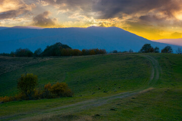 mountainous countryside at dawn. trees on hills and grassy meadows. ridge in the distance under the bright sky with clouds in evening light