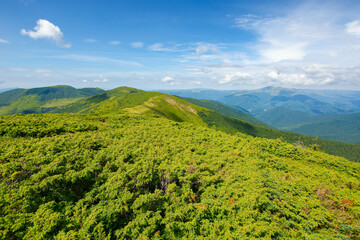 Obraz premium mountain landscape in summer. beautiful scenery on a sunny day. view in to the distant ridge under the blue sky with dynamic cloud formation
