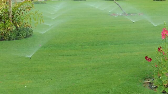 Rotating automatic sprinkler over lawn, modern irrigation device or system to watering garden over green grass maintenance service. Gardening service. 4K