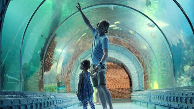 Child with his father watching underwater sea inhabitants in huge aquarium tunnel, Girl on dad hands learn about fishes and marine life. Family trip