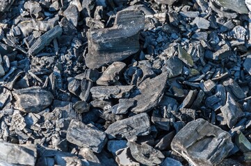 Coals from the fire on which shish kebabs were fried