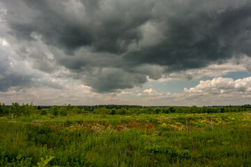 Storm clouds on a summer field