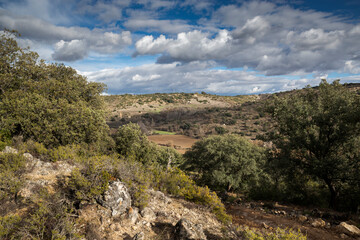 Fototapeta na wymiar Mosaic landscape in the municipality of Olmeda de las Fuentes, province of Madrid, Spain