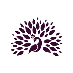 vector abstract illustration and religion peacock logo design 