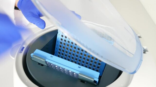 hands of scientist puts 96 well plate with patienten DNA samples into laboratory centrifuge. research technician with test sample probes in genetic laboratory. genetic and cancer screening, medical te