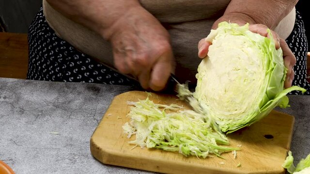 the hands of an old woman cut cabbage for sauerkraut