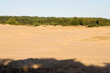 Kootwijkerzand, Kootwijk, Veluwe, Netherlands