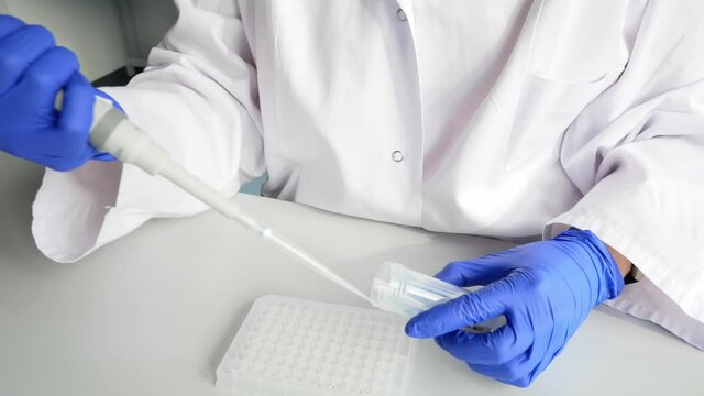 Laboratory researcher, scientist or nurse pipetting chemical reagents into a 96-well plate. Genetic engineering or genetic disease screening. Cancer and drug research and science. Coronavirus test