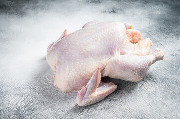 Raw free range whole chicken on a kitchen table. White background. Top view