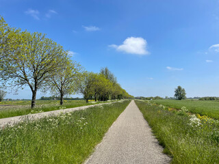 Road around Aldeboarn